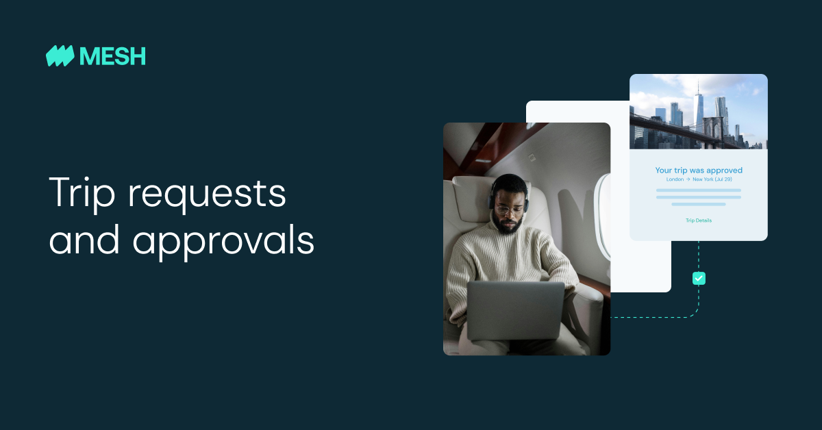 screenshot of Mesh Payments